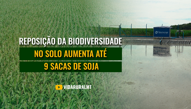 REPOSIÇÃO DA BIODIVERSIDADE DO SOLO AUMENTA ATÉ 9 SACAS DE SOJA